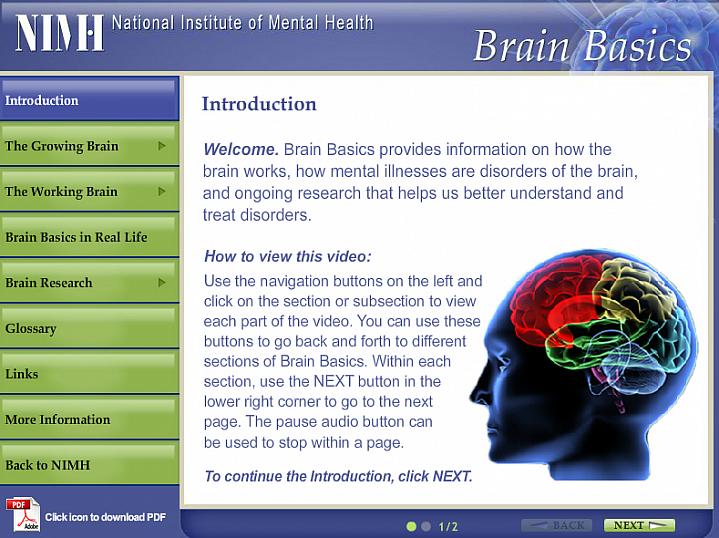 Screen capture of the homepage for Brain Basics.