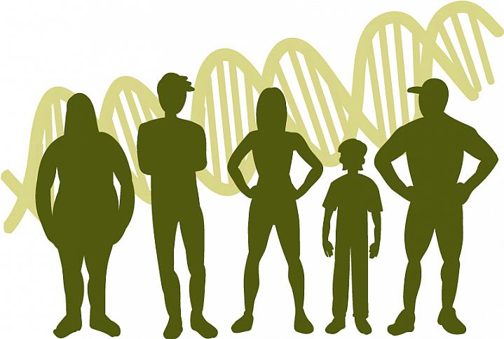 Illustration of human silhouettes, of different sizes and shapes, atop a background of the DNA double-helix.