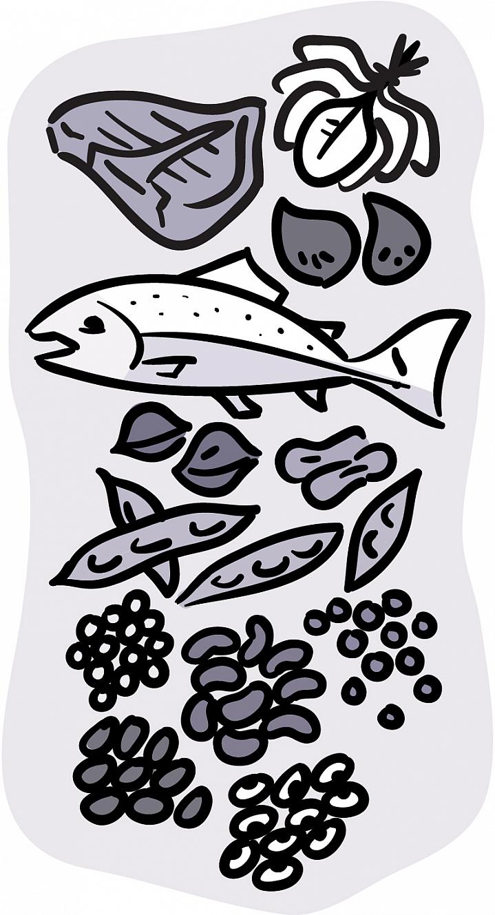 Illustration of iron-rich foods, including fish, red meat, beans, and dark leafy vegetables Illustration of iron-rich foods, including fish, red meat, beans, and dark leafy vegetables.
