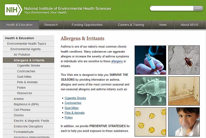 Screen capture of the homepage for the Allergens & Irritants website Screen capture of the homepage for the Allergens & Irritants website.