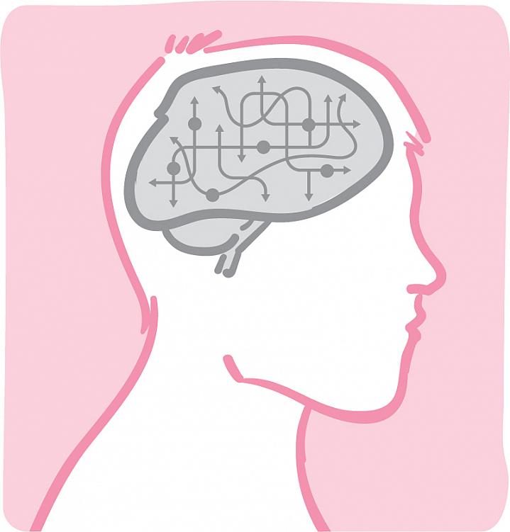 Illustration of circuits and arrows inside a man’s brain Illustration of circuits and arrows inside a man’s brain.