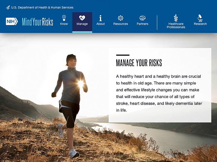 Screen capture of the homepage for Mind Your Risks Screen capture of the homepage for Mind Your Risks.