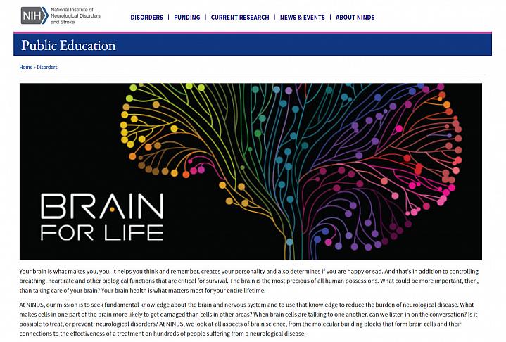 Screenshot of the Brain for Life Website Screenshot of the Brain for Life Website