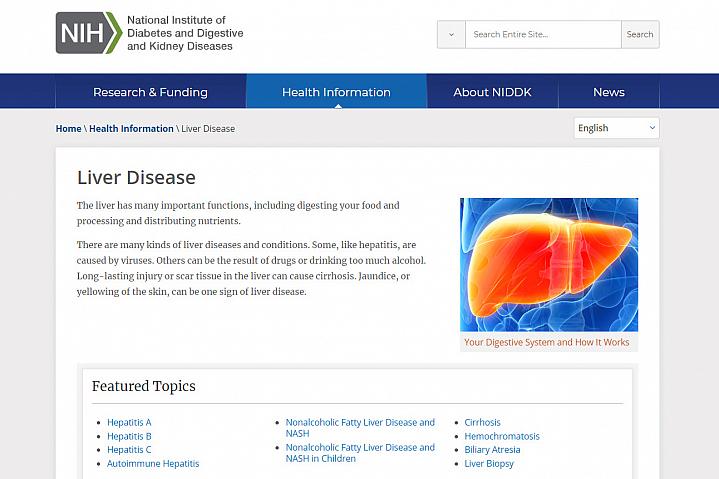 Screenshot of the liver disease website