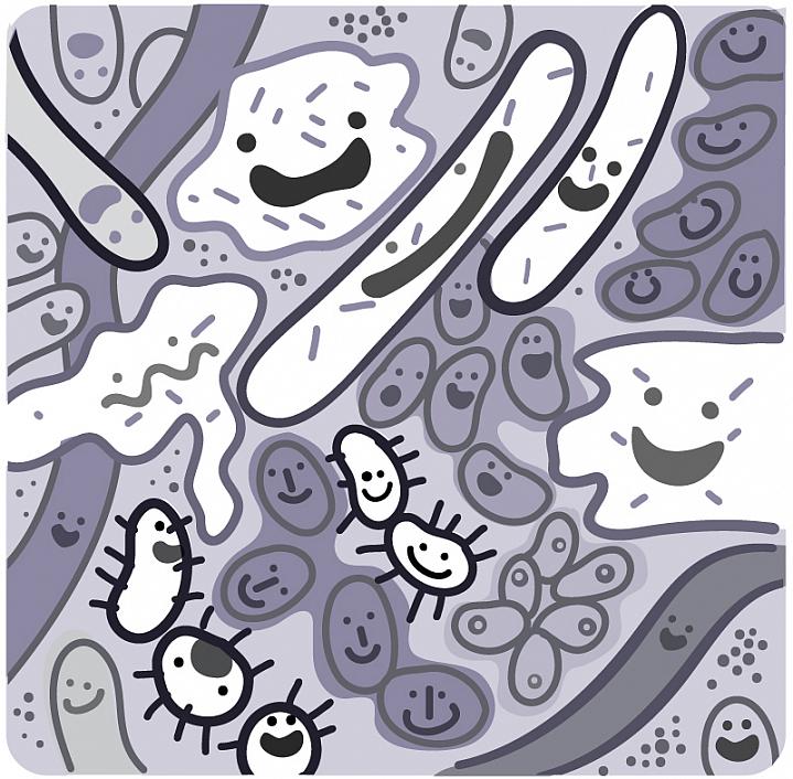 Illustration of a community of microbes Illustration of a community of microbes