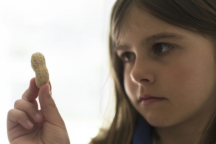 Girl looking skeptically at a peanut Girl looking skeptically at a peanut