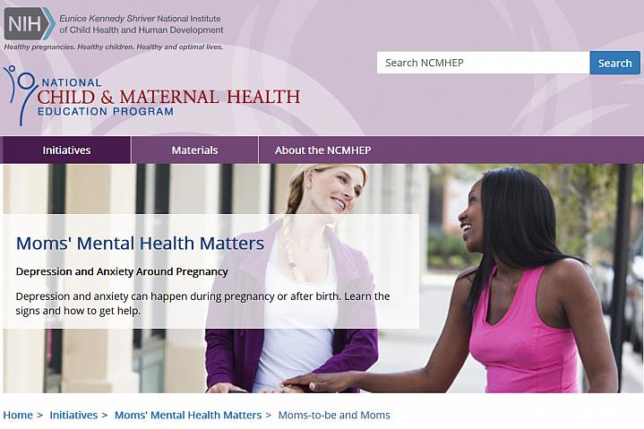 Screenshot of the Moms Mental Health Matters website Screenshot of the Moms Mental Health Matters website