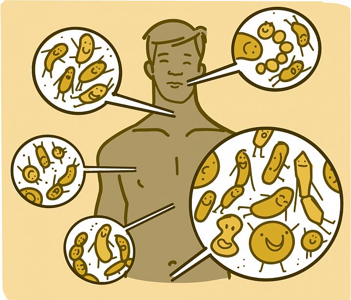 Illustration showing where microbes live on the body of a man Illustration showing where microbes live on the body of a man