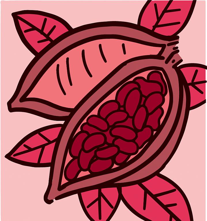 Illustration of a cocoa plant Illustration of a cocoa plant