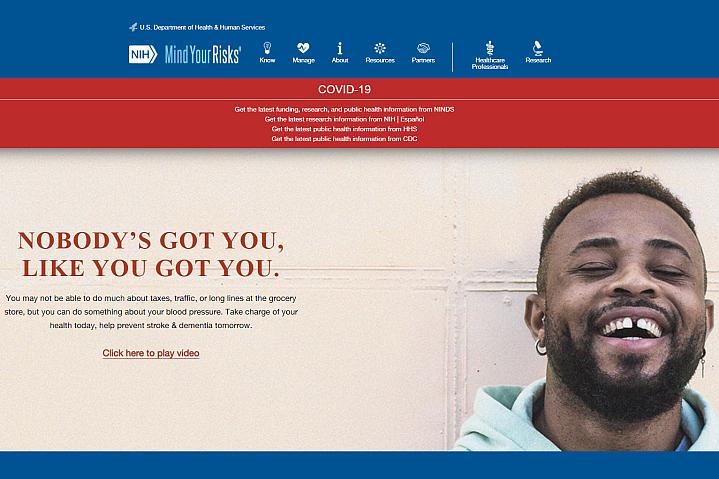 Screenshot of the Mind Your Risks website Screenshot of the Mind Your Risks website