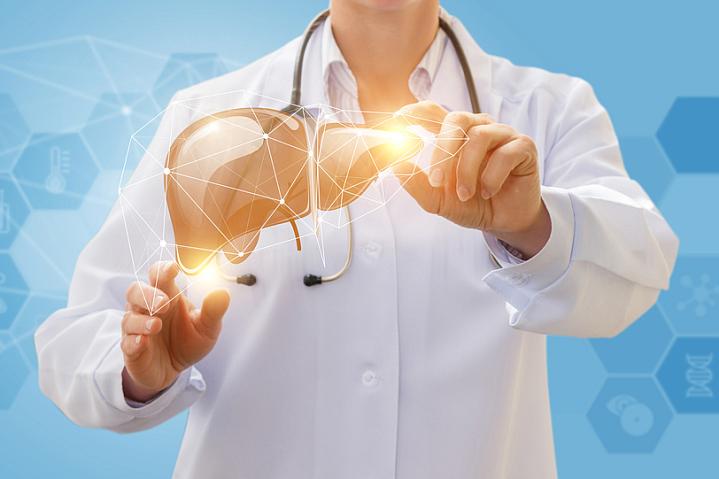 Health worker showing an image of a liver Health worker showing an image of a liver