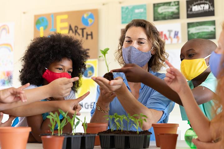 Teacher and students in a classroom and looking seedlings Teacher and students in a classroom and looking seedlings