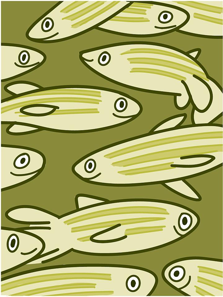 Illustration of a group of zebrafish Illustration of a group of zebrafish.