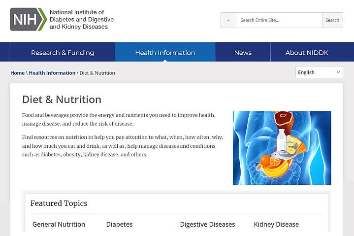 Screenshot of the Diet & Nutrition website Screenshot of the Diet & Nutrition website