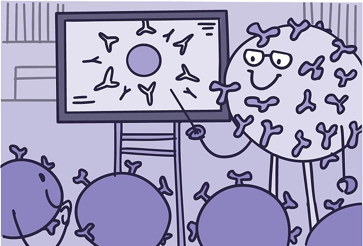 Illustration of immune cells being taught by a teacher in a classroom Illustration of immune cells being taught by a teacher in a classroom