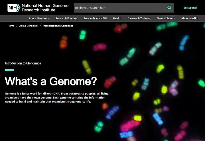 Screenshot of the What’s a Genome website Screenshot of the What’s a Genome website.