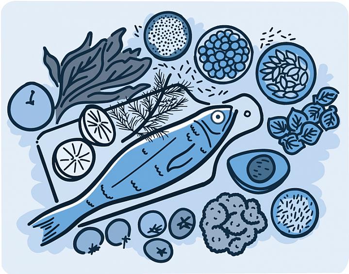Illustration of healthy foods Illustration of healthy foods